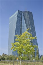 European Central Bank ECB, Main Building, Headquarters, Sonnemannstraße, Ostend, Frankfurt am Main,