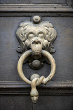 Lion's head, historical door knocker on a wooden door, Salem Castle, former imperial abbey, former