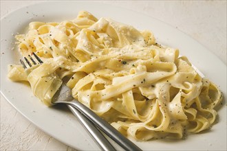 Fettuccine, tagliatelle, in creamy garlic sauce, Italian traditional cuisine, pasta carbonaro