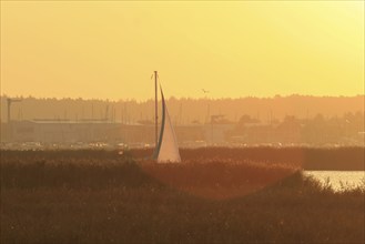 Sailing boat, Baltic Sea, Mecklenburg-Western Pomerania, Germany, Europe