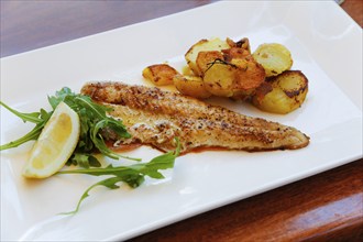 Mediterranean cuisine, fried pike-perch fillet, roast potatoes, fried potatoes, rocket salad, lemon