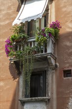 A Mediterranean balcony in an old town centre with flowering plants and ivy in the sunlight,