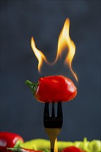 Burning red pepperoni on a fork, close-up, food photography