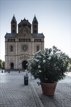 Speyer Cathedral, Rhineland-Palatinate, Germany, Europe