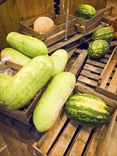 Watermelon variety Snake of Georgia, long green watermelon, watermelons in a wooden box, on