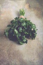 Bunch of parsley, on the table, top view, no people