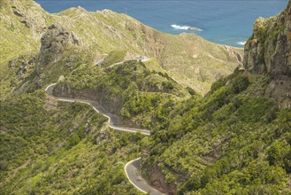 Mountain road, Valley of Taganana, Barranco de la Iglesia, Anaga Mountains, Las Montanas de Anaga,