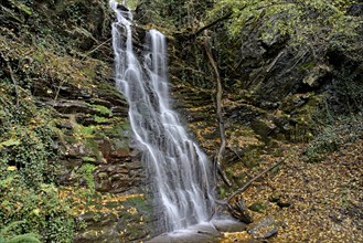 Klidingen waterfall in autumn, Vulkaneifel, Rhineland-Palatinate, Germany, Europe