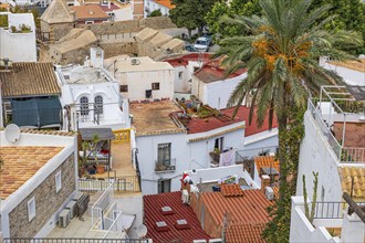 Above the rooftops of Eivissa's old town, Ibiza Town, Ibiza, Balearic Islands, Mediterranean,