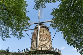 Mill tower in the town of Zons, Dormagen, Lower Rhine, North Rhine-Westphalia, Germany, Europe