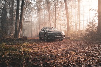 A Volkswagen stands on a path in an autumnal forest, surrounded by morning mist and golden light,