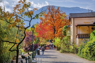 Winter promenade on the River Passer in autumn, Merano, Burggrafenamt, Adige Valley, South Tyrol,