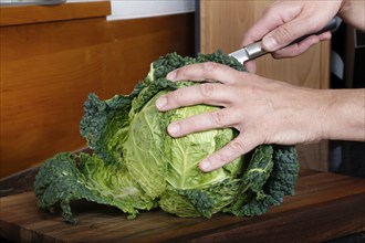 Swabian cuisine, preparation of savoy cabbage, wild boar medallions with savoy cabbage cakes,