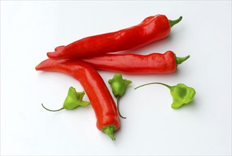 Peppers, chili pepper, chili pepper, chili pepper