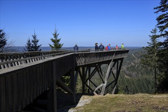 Viewing platform at Ellbachsee, near Baiersbronn, Freudenstadt district, Black Forest,