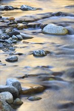 River Lonza, Lötschental, Valais, Switzerland, Europe