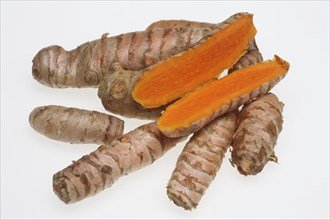 Turmeric (Curcuma longa) or curcume, yellow ginger, saffron root, turmeric, plant species of the