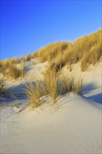 Sanddüne, Düne Island, Helgoland, Germany, Europe