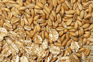 Dinkel wheatflakes and grains, grains, Wholegrain flakes