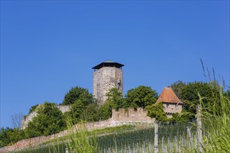 Hohenbeilstein Castle, hilltop castle, Beilstein, Heilbronn district, Baden-Württemberg, Germany,