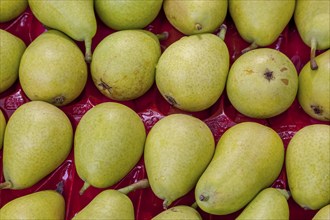 Pears (Pyrus) at a weekly market market, Majorca, Balearic Islands, Spain, Europe