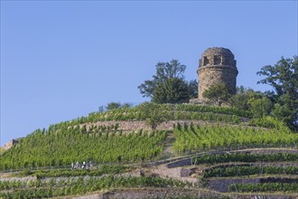 The Bismarck Tower in Radebeul, also known as the Bismarck Column, is one of around 145 Bismarck