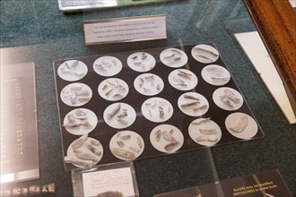 Display cases of Mesolithic Old Stone Age flint tools from Blick Mead, Amesbury History Centre,