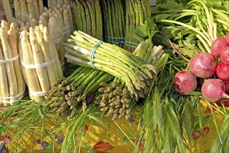 Vegetables, white and green asparagus, market stall, Venice, asparagus, Italy, Europe