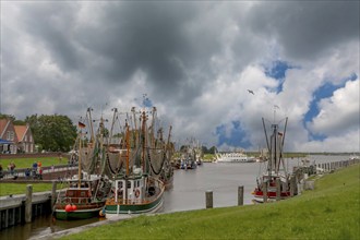 Crab cutter in the harbour of Greetsiel, the largest cutter fleet in East Frisia, Greetsiel, East