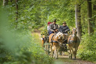 Presentation and route ride, all carriages in stylish tension, popular sporting event over approx.