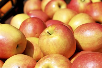 Close-up of fresh apples in a shop