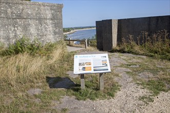 Second world war information panel by defensive structures at Fort Henry, Studland Bay, Swanage,