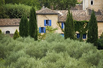 Lorgues, Département Var, Region Provence-Alpes-Côte d'Azur, South of France, France, Europe