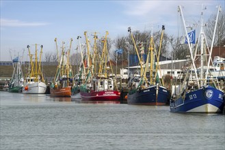 Fishing boat in the harbour of Friedrichskoog, North Sea coast, Dithmarschen district,