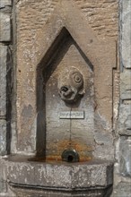 Meersburg on Lake Constance, fish spits water jet, inscription drinking water, fountain, close-up,