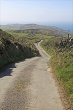 Long country lane road on Cape Clear Island, County Cork, Ireland, Irish Republic, Europe