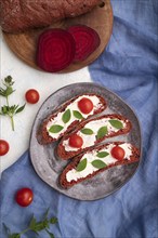 Red beet bread sandwiches with cream cheese and tomatoes on white concrete background and blue