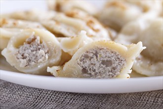 Dumplings on a white plate, selective focus. close up