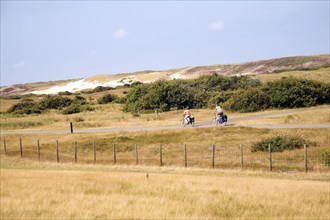 Sand dunes south of Scheveningen Holland