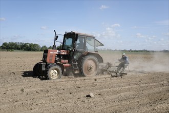 Tractor dragging a plume of dust behind it while working a potato field, Münchenberge, 20/05/2020