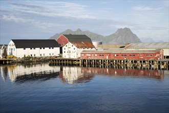 Fish processing buildings at Svolvaer, Lofoten Islands, Nordland, Norway, Europe