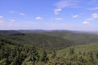 View from the Eckkopf tower near Bad Dürkheim over the Palatinate Forest