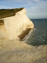 Chalk cliffs at Seaford Head, East Sussex, England, United Kingdom, Europe