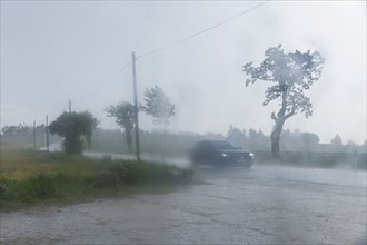 Storm on the Triebenberg near Dresden, Dresden, Saxony, Germany, Europe