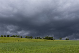 Heavy rain showers and thunderstorms over Possendorf in the Eastern Ore Mountains, Possendorf,