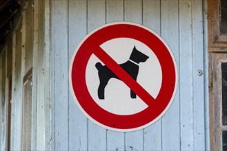 Prohibition sign for dogs, Germany, Europe