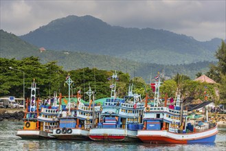 Colourful tourist boats for excursions, boat, ship, tourist boat, colourful, harbour, sea,