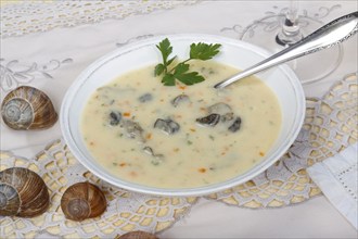 Baden cuisine, snail soup, typical Baden, vineyard snail shell, snail shells, parsley, spoon, soup