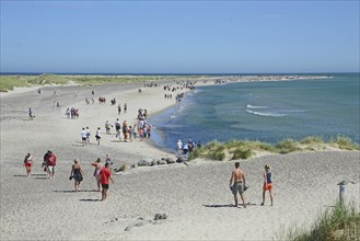 Ttourists walking at the northern tip of Denmark where the Baltic Sea and North Sea meet at Skagen