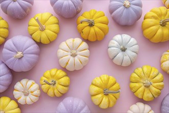 Op view of yellow and purple pumpkins on pastel blue background, Generative Ai, AI generated